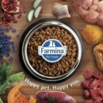 n and d dog food