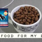 smart heart dog food